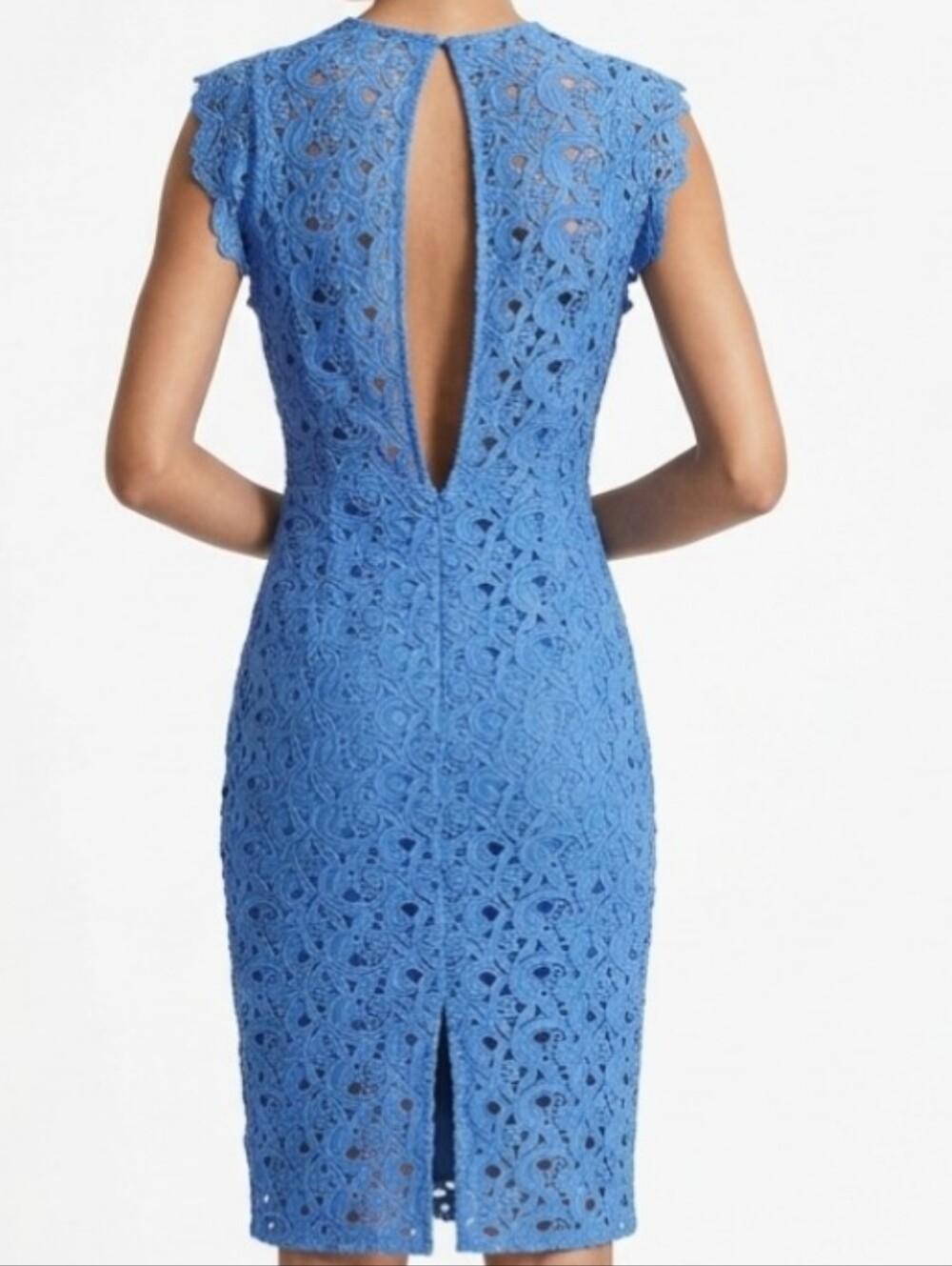 Zara Romantic Cobalt Blue Lace Sheath Dress XS